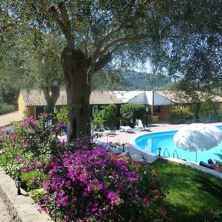 Aphrodite Studios & Pool Paleokastritsa Exteriör bild