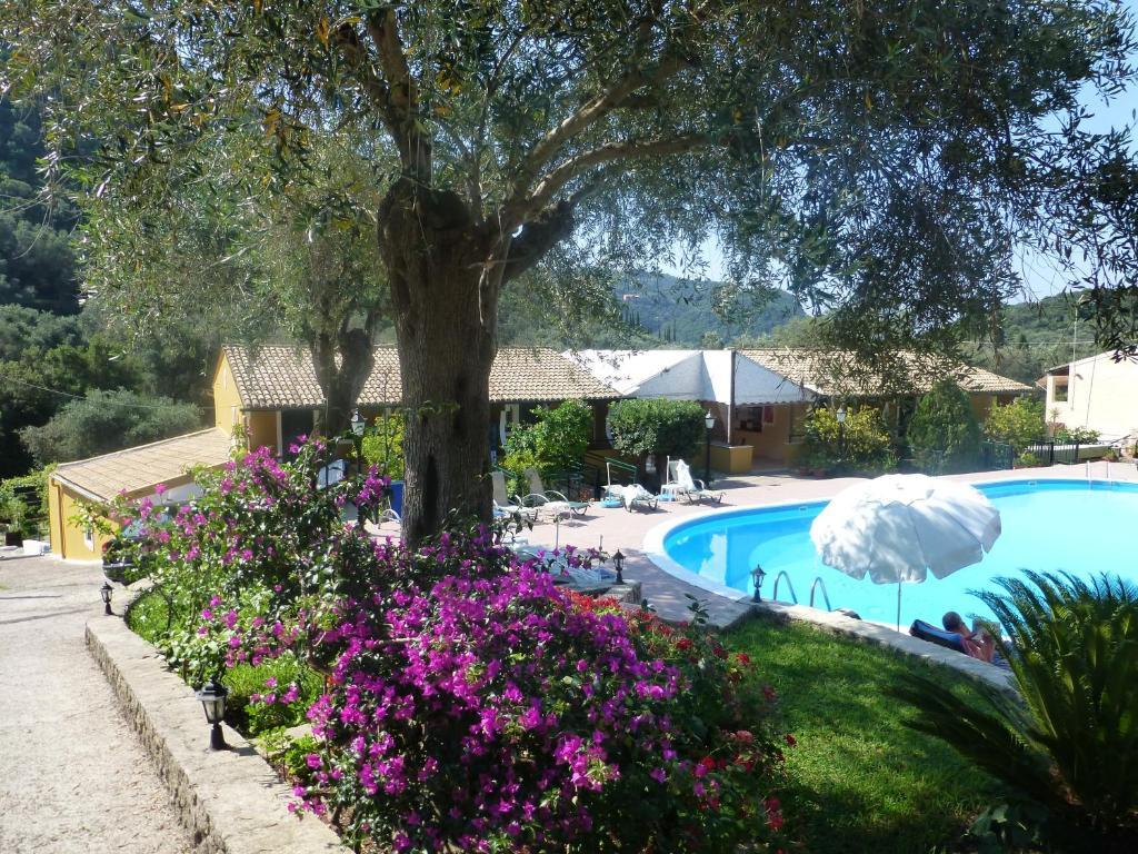 Aphrodite Studios & Pool Paleokastritsa Exteriör bild